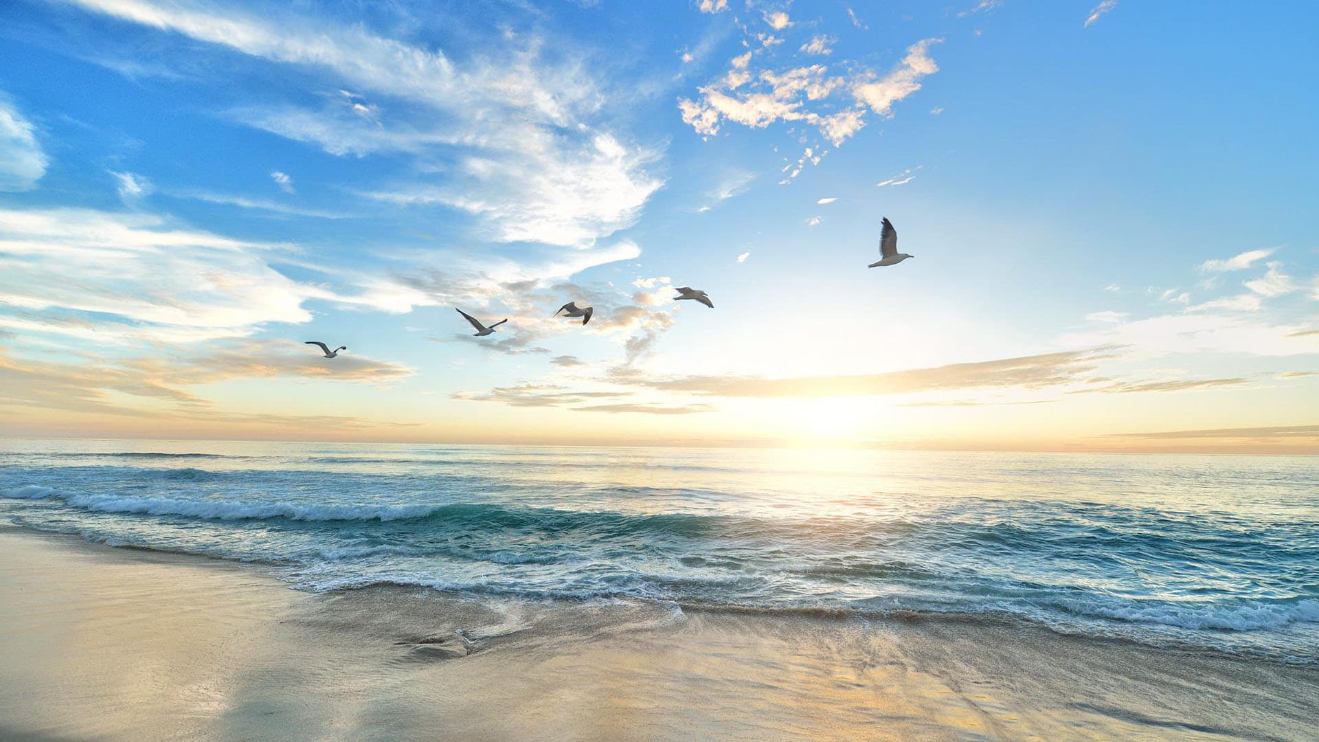 Properties in Naples, FL