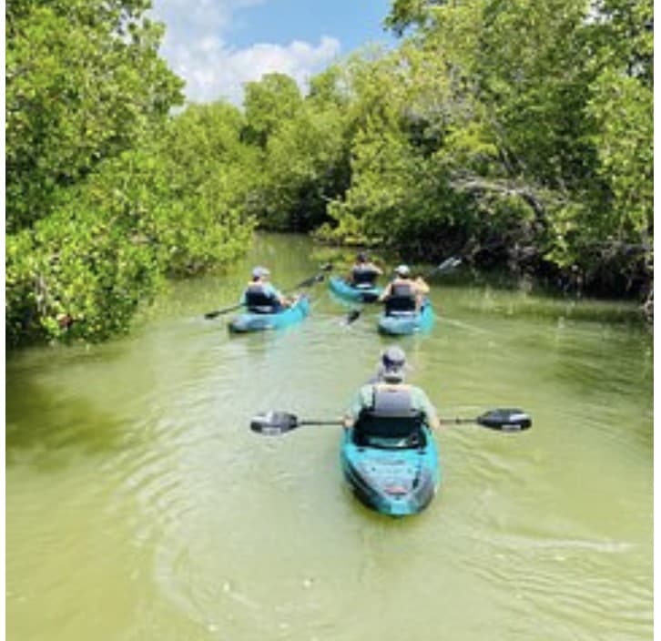 Sunshine Somewhere Dominguez Property Management DPM Carlos Dominguez Diego Mejia Property Management